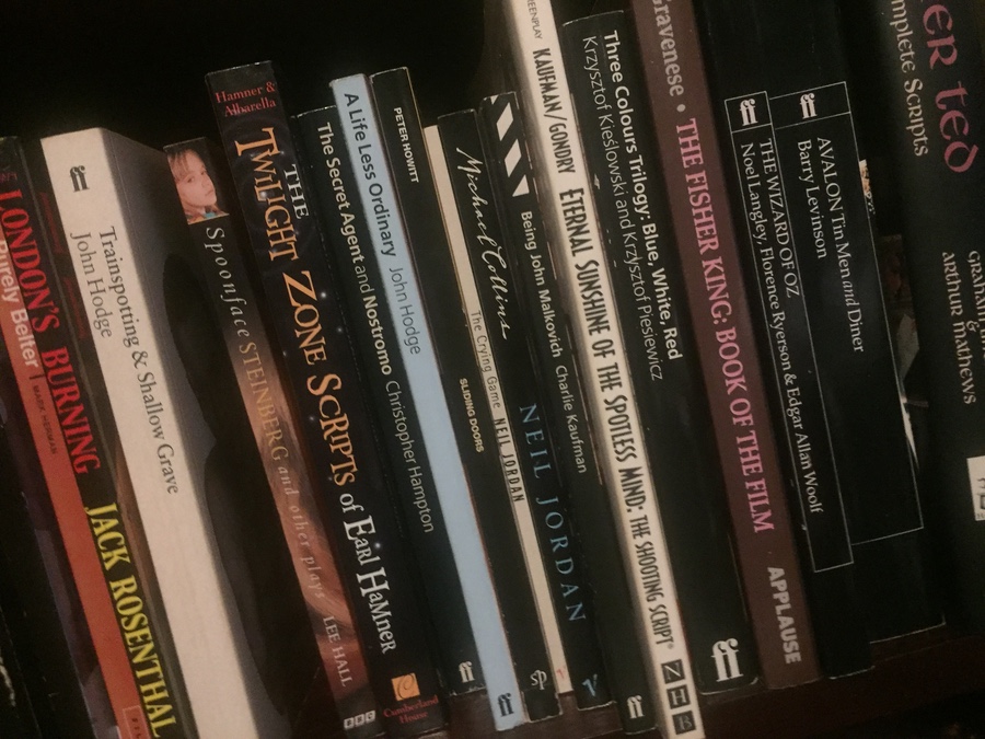 Bookshelf with script books